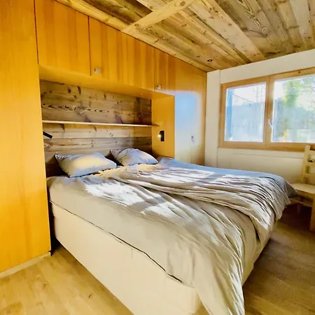 Fontanettaz V 007 - Mountain & View 8 Pers דירה ויסונה